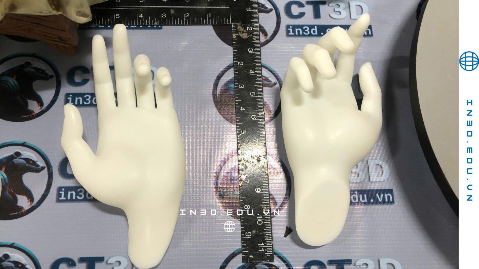 In resin theo yêu cầu | CT3D Group – Dịch vụ in 3D độ mịn cao tại Việt Nam