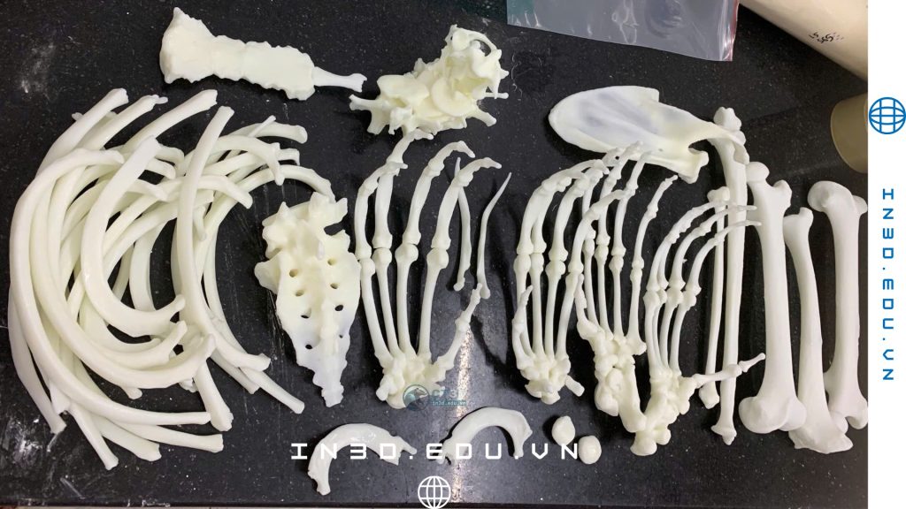 Bạn đang tìm dịch vụ in 3D theo yêu cầu Hà Nội với tốc độ nhanh, độ chính xác cao và giá hợp lý? CT3D – đơn vị in 3D uy tín tại Việt Nam – cung cấp giải pháp in 3D chuyên nghiệp cho mọi nhu cầu từ FDM, SLA Resin đến in 3D kỹ thuật và mô hình kiến trúc. Với hệ thống máy in công nghiệp trải dài toàn quốc, CT3D đảm bảo thời gian giao hàng nhanh, chất lượng ổn định và hỗ trợ thiết kế – tối ưu file trước khi in. Đây là lựa chọn lý tưởng cho khách hàng cần in mẫu 3D, prototype, chi tiết máy, mô hình ngay tại CT3D Hà Nội. CT3D cung cấp dịch vụ in 3D – scan 3D – gia công CNC – in 3D kim loại – tạo mẫu nhanh với hệ thống vận hành chuyên nghiệp, phục vụ 24/7 cho khách hàng tại Hà Nội và trên khắp cả nước. Với hơn 12 năm kinh nghiệm, CT3D sở hữu mạng lưới máy in – máy scan – phòng vận hành trải dài từ Bắc vào Nam, giúp khách hàng nhận tư vấn kỹ thuật, báo giá và xử lý file nhanh trong vài phút, giao hàng toàn quốc chỉ từ 1–2 ngày. Dù bạn là cá nhân, doanh nghiệp hay đơn vị R&D, CT3D luôn đồng hành trọn vẹn từ ý tưởng đến sản phẩm hoàn thiện, đảm bảo nhanh chóng – chính xác nhất – tối ưu chi phí nhất.